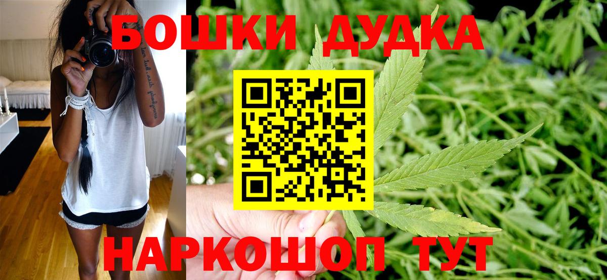 Киселёвск  Шишки марихуана Bruce Banner  Марихуана тримм  Вход с VPN  Конопля семена 